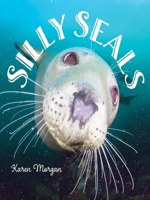 cover image of Silly Seals